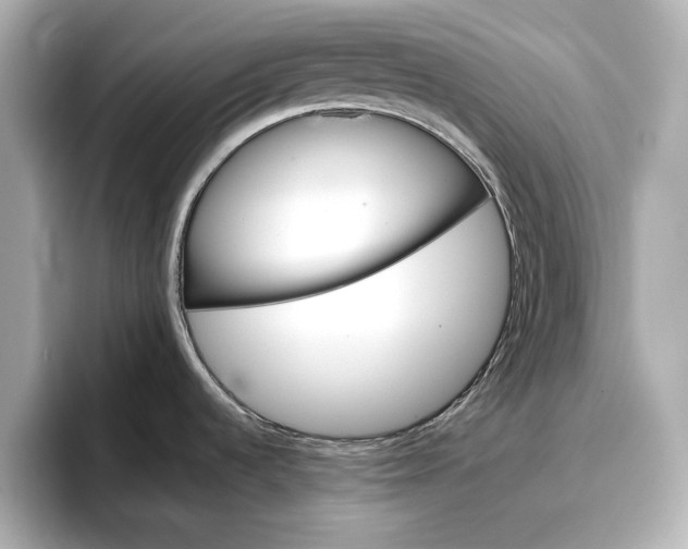 X0000096951536200802221312