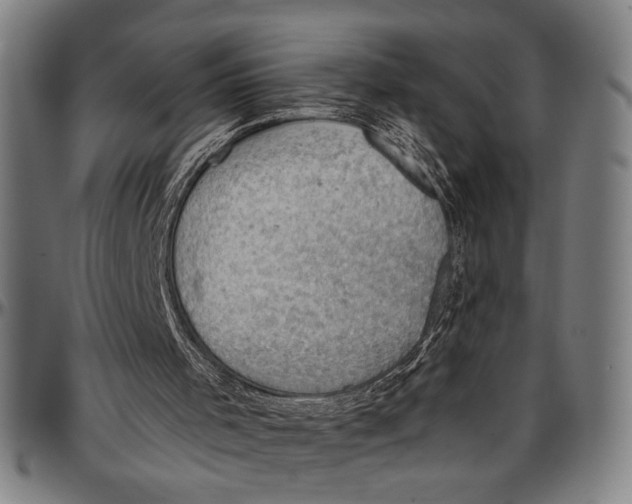 X0000096950001200802291108