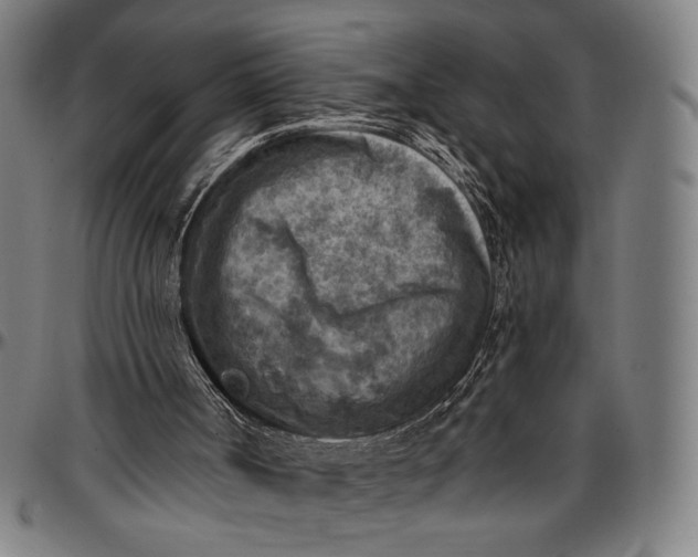 X0000096950002200802291108