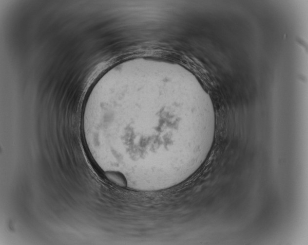 X0000096950003200802291108
