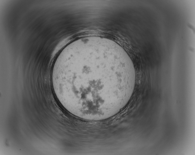 X0000096950004200802291108