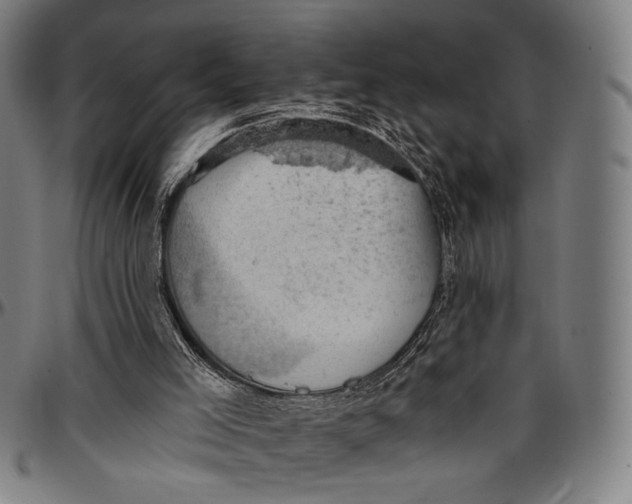 X0000096950005200802291108