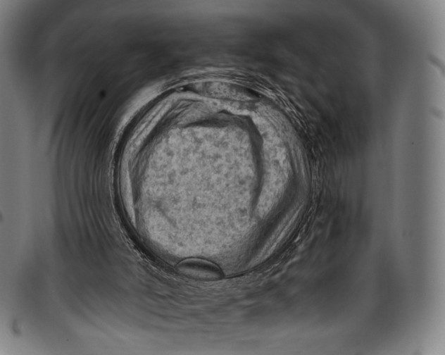 X0000096950006200802291108