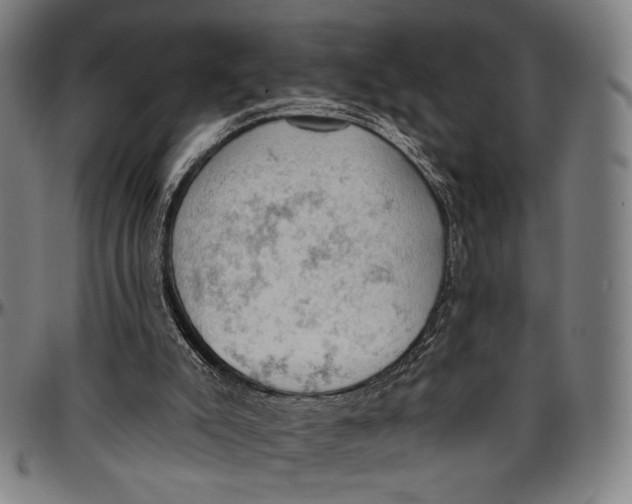 X0000096950007200802291108