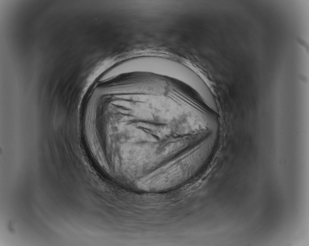 X0000096950008200802291108