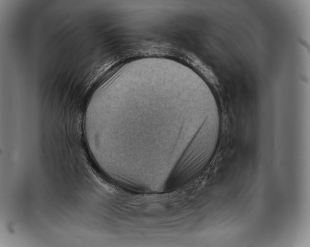 X0000096950009200802291107