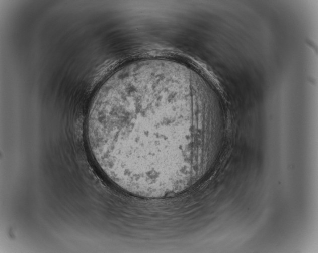 X0000096950010200802291107