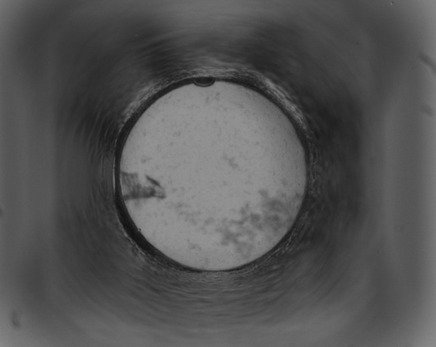 X0000096950011200802291107