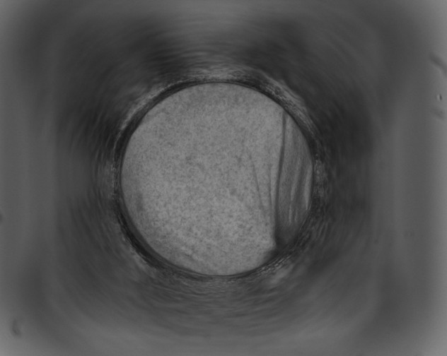 X0000096950012200802291107