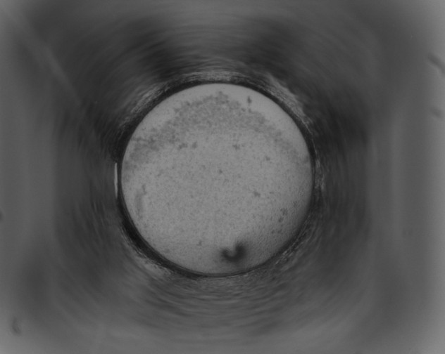 X0000096950013200802291107