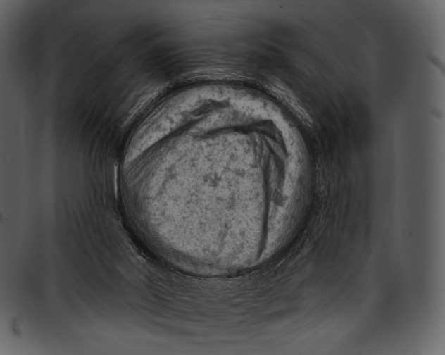X0000096950014200802291107