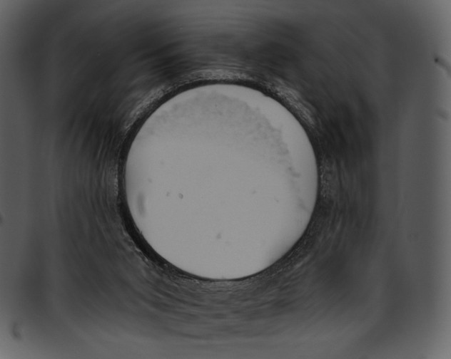 X0000096950015200802291107