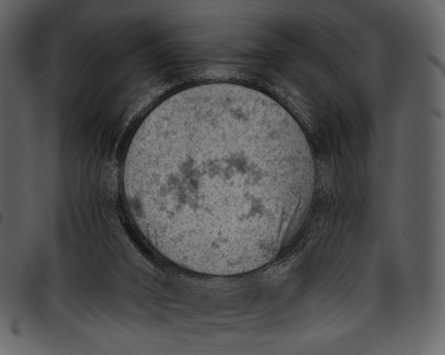 X0000096950016200802291107