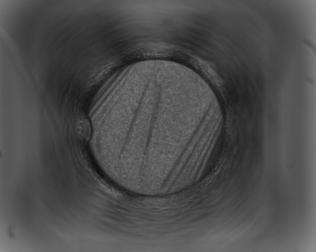 X0000096950017200802291107