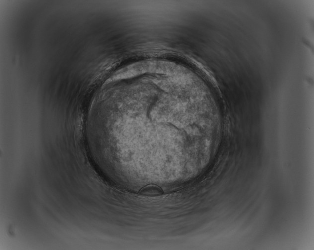 X0000096950018200802291107