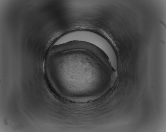 X0000096950019200802291107