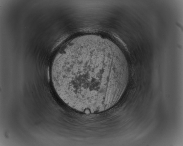 X0000096950020200802291107