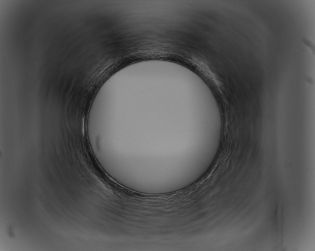 X0000096950021200802291107