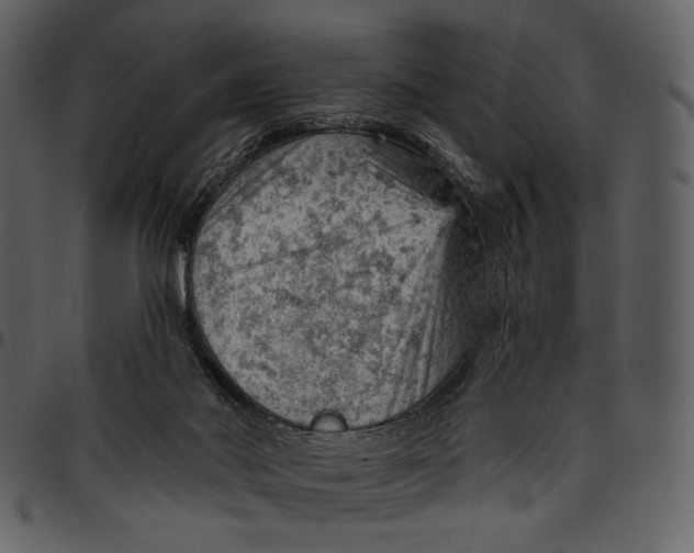 X0000096950022200802291107