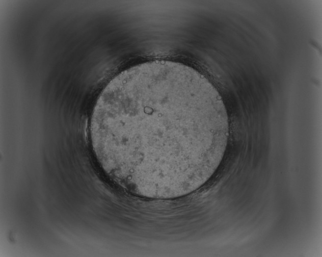 X0000096950024200802291107