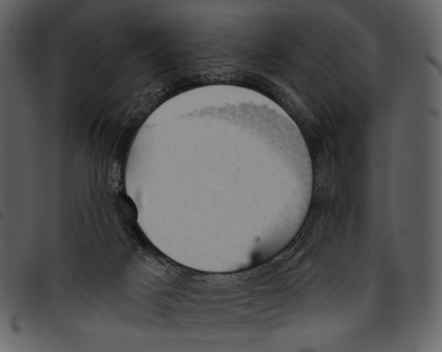 X0000096950025200802291107