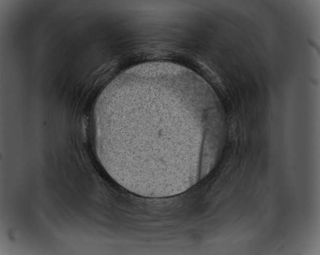 X0000096950026200802291107