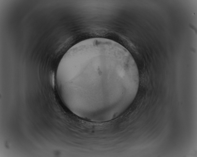 X0000096950027200802291107