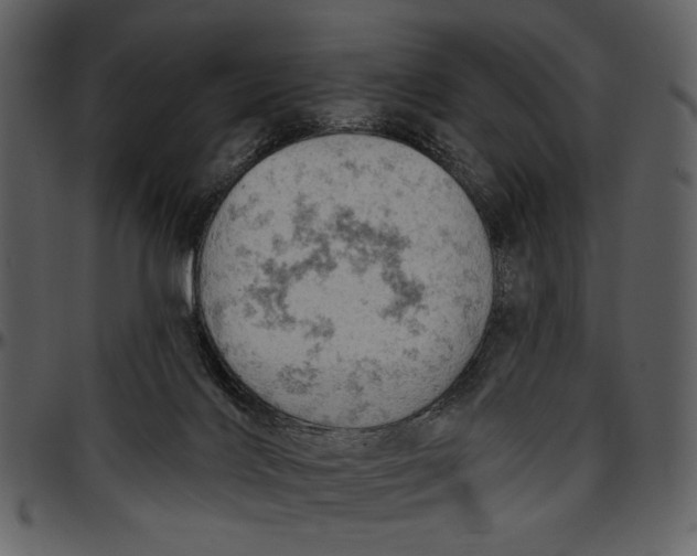X0000096950028200802291107
