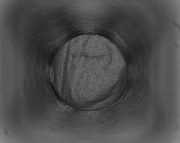 X0000096950029200802291107