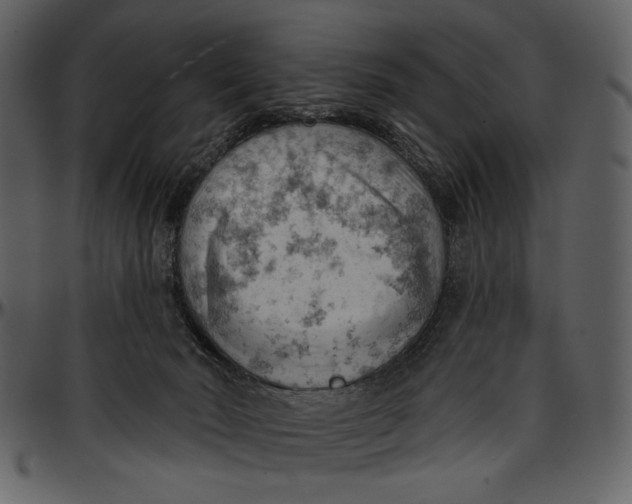 X0000096950030200802291107