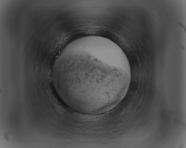 X0000096950031200802291107