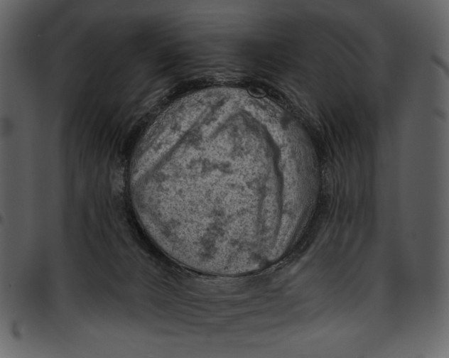 X0000096950032200802291107