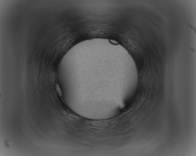 X0000096950033200802291107