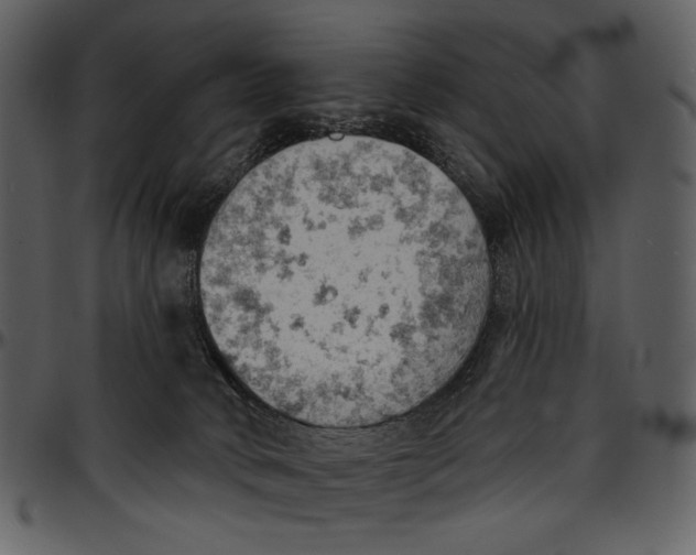 X0000096950034200802291107