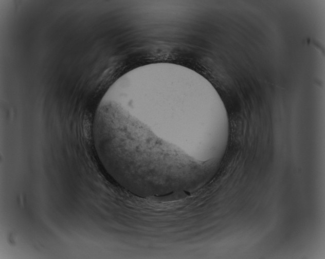 X0000096950035200802291107