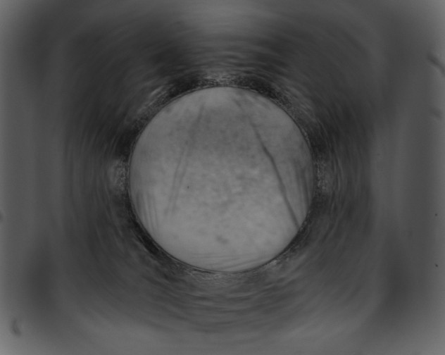 X0000096950036200802291107