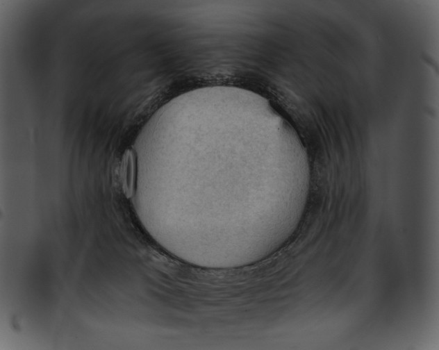 X0000096950037200802291107