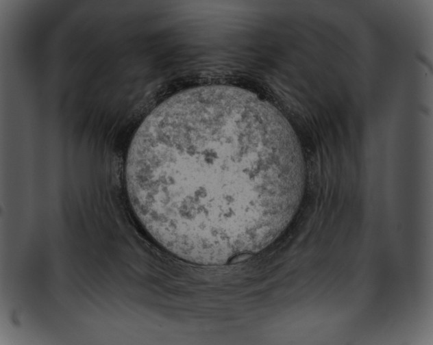 X0000096950038200802291107