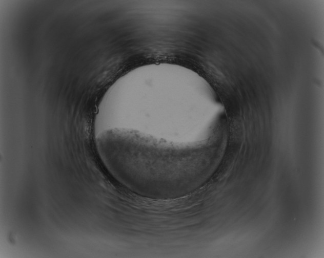 X0000096950039200802291107