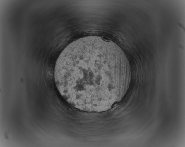 X0000096950040200802291107