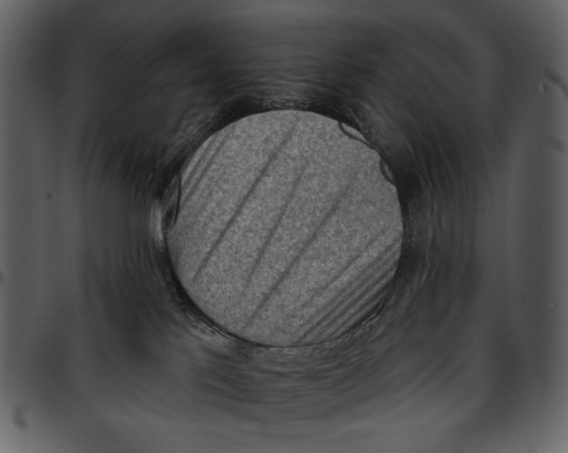 X0000096950041200802291107