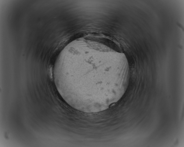 X0000096950042200802291107