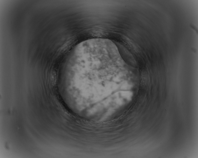 X0000096950043200802291107
