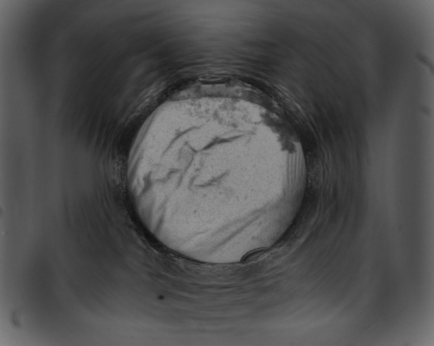 X0000096950044200802291107