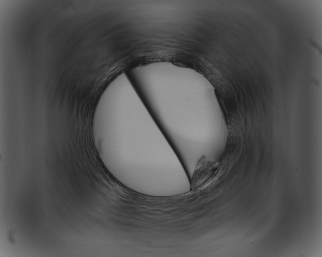X0000096950045200802291107
