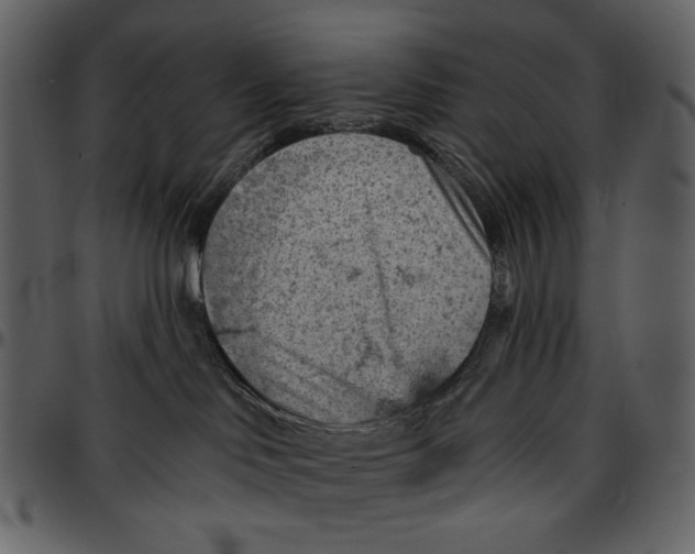 X0000096950046200802291107