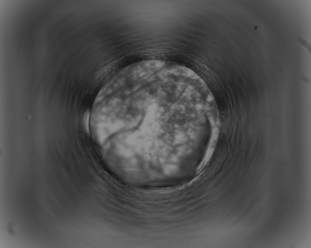 X0000096950047200802291107