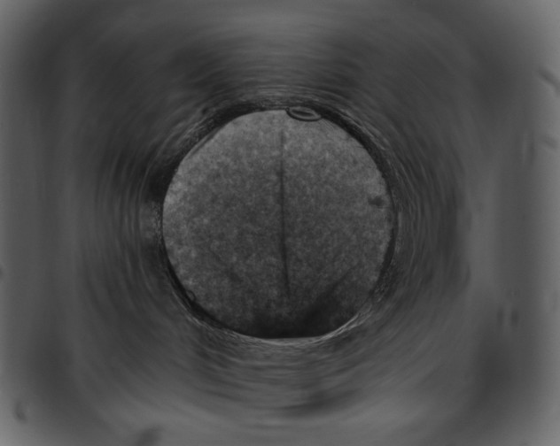 X0000096950048200802291107