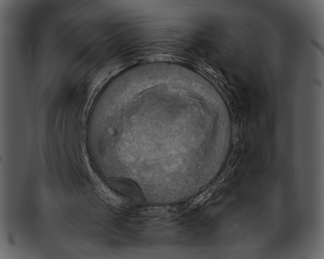 X0000096950049200802291106
