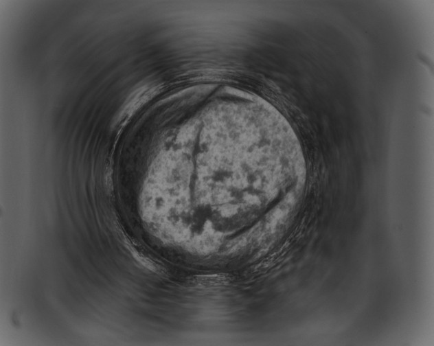 X0000096950050200802291106
